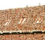 stadio-arechi