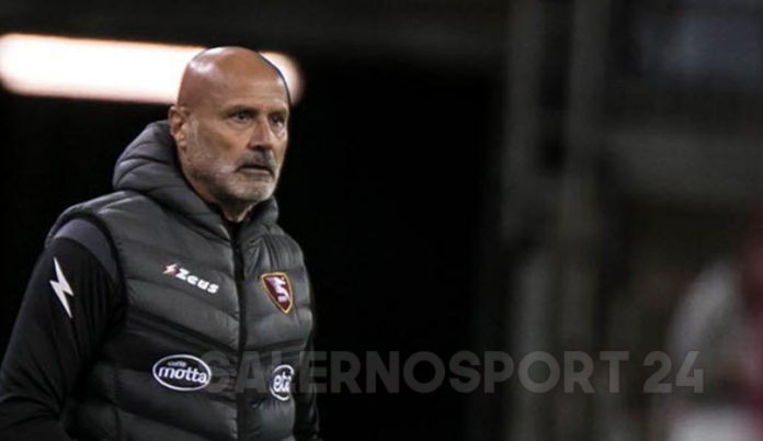 stefano-colantuono
