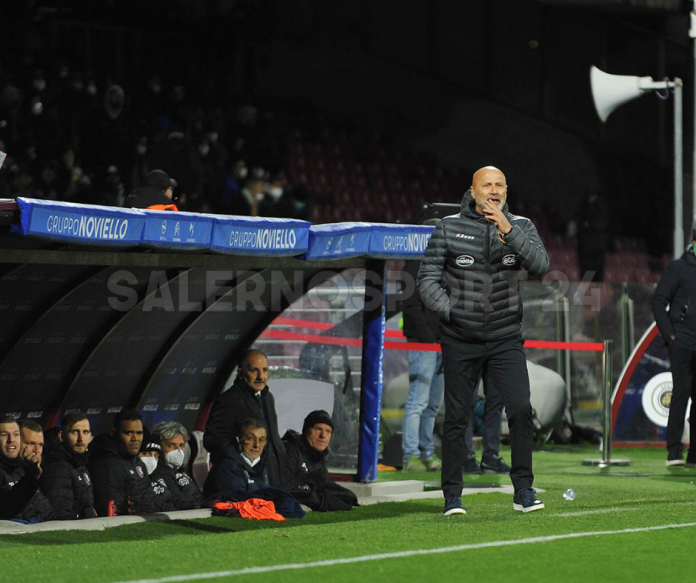 colantuono-salernitana