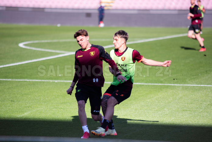 salernitana
