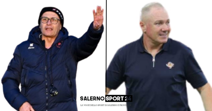 formazioni-salernitana-cosenza