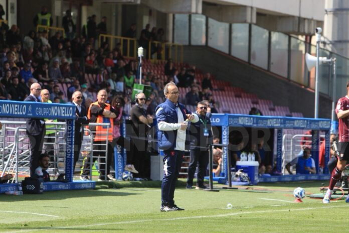 salernitana-cosenza-analisi