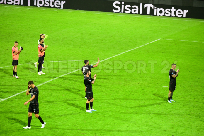salernitana-torino