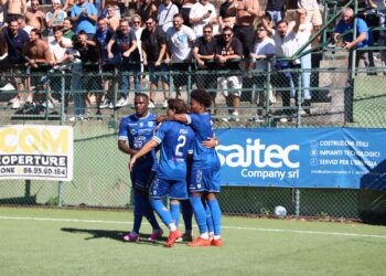 serie d