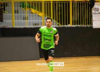 feldi selucio